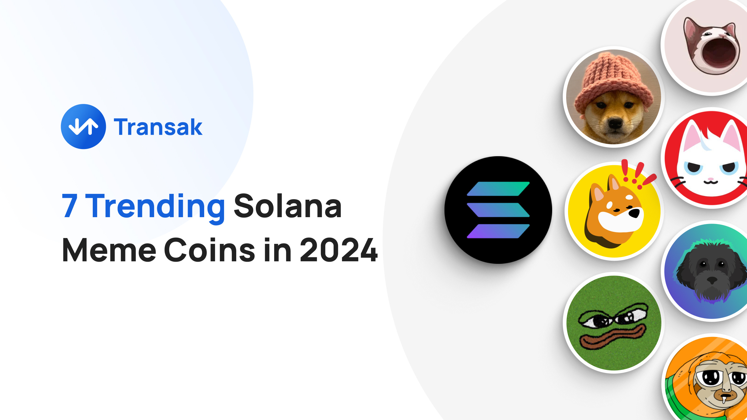 7 Trending Solana Meme Coins-2