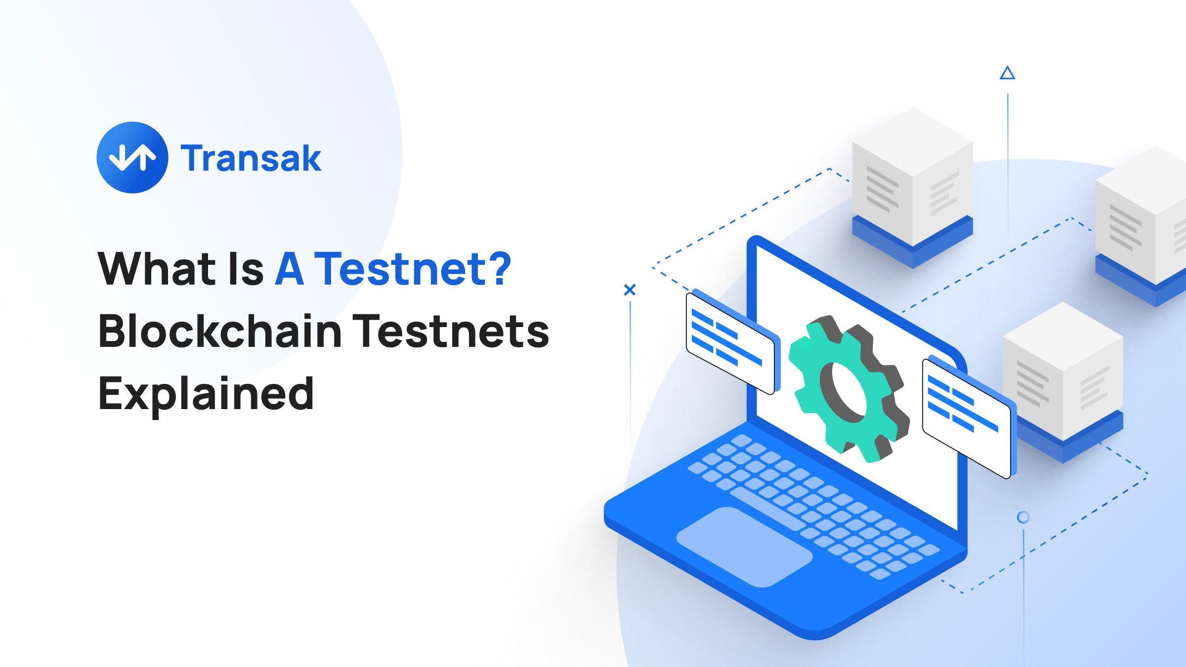 What Is A Testnet_ (1)