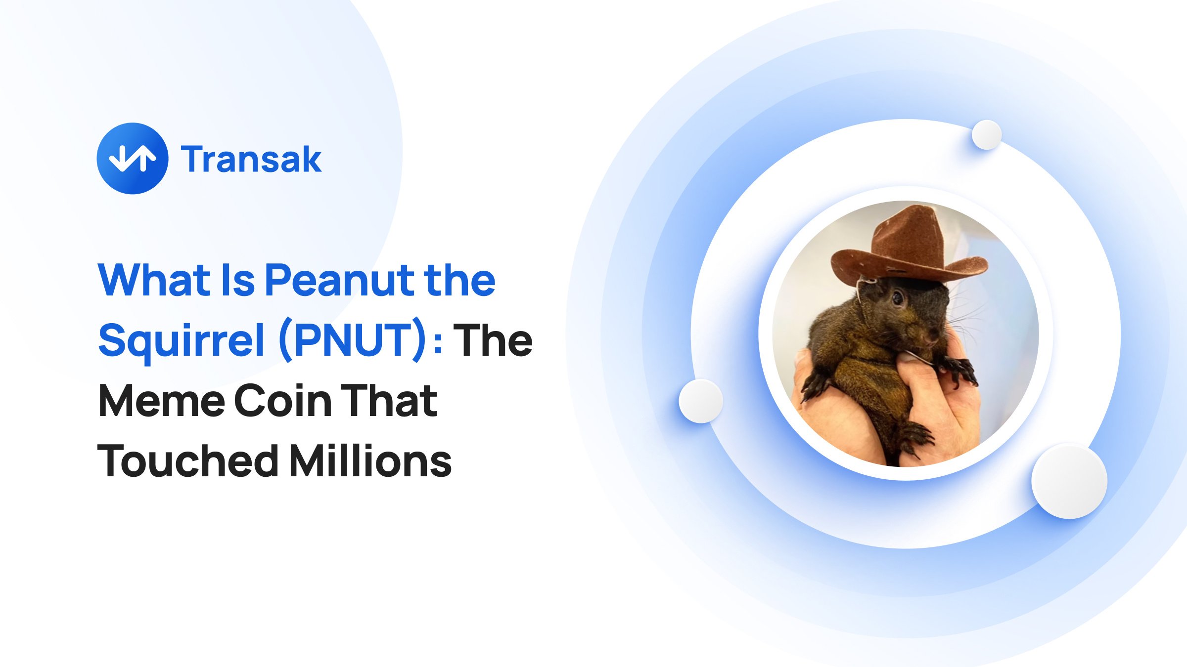 What Is Peanut the Squirrel (PNUT)_ The Meme Coin That Made The Internet Cry (3)