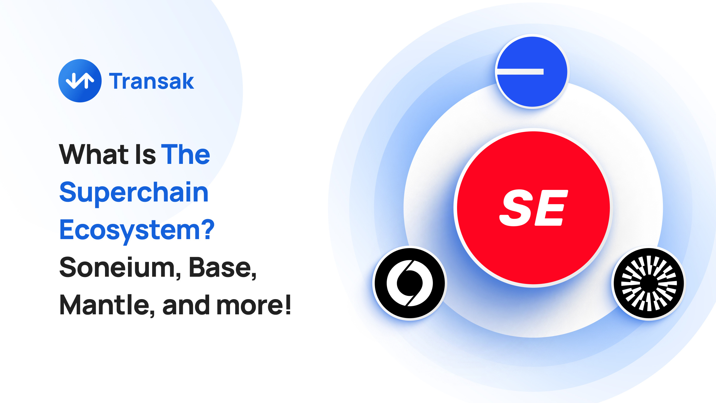 What Is The Superchain Ecosystem? Soneium, Base, Mantle, and more! | Transak